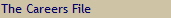 The Careers File